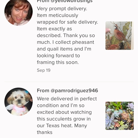 $10 off use code SPLENDORROSE @ signup - Picture 9 of 16